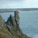 CAMELS HEAD