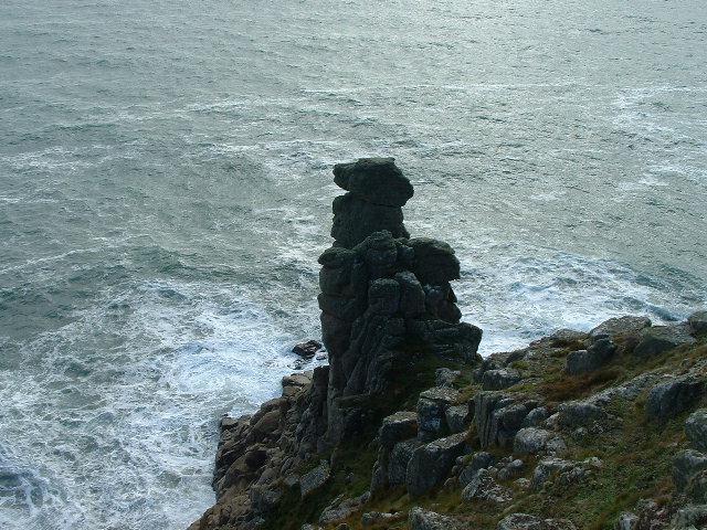 CAMELS HEAD