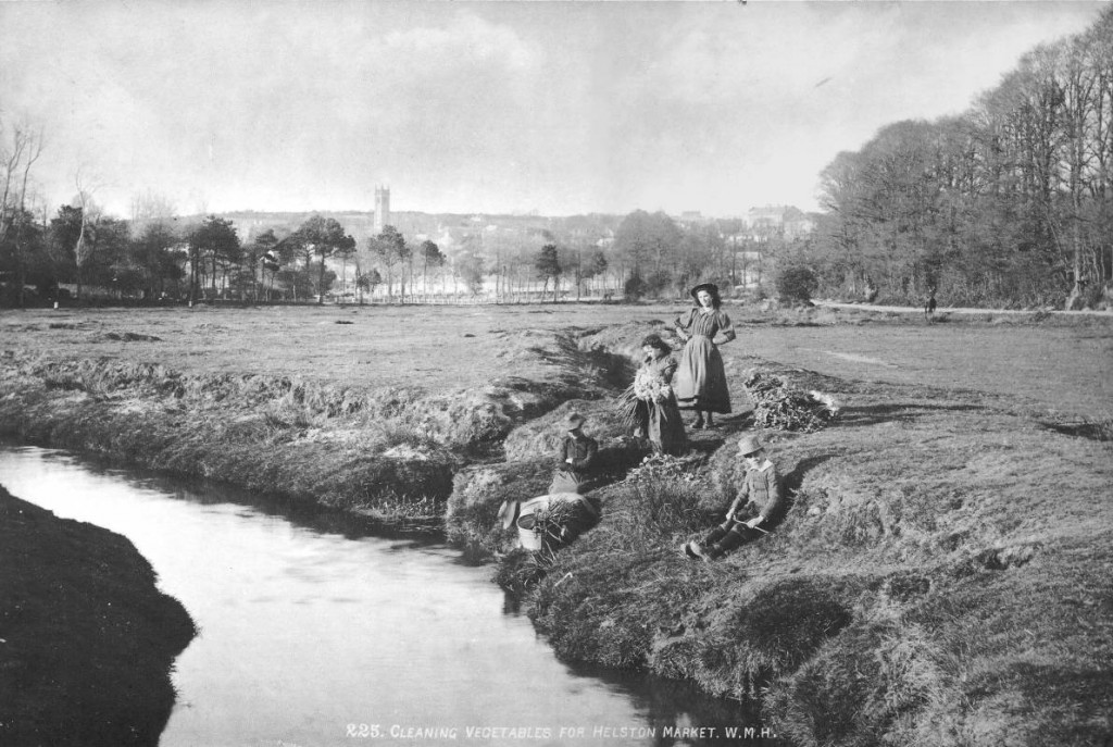 A fantastic early photograph of local people washing vegetables in the River Cober for Helston Market.  Photo kindly donated to the Helston History website by CHRIS RAYNOR