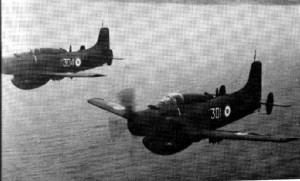 RNAS CULDROSE SKYRAIDERS