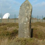 DRY TREE MENHIR