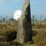 DRY TREE MENHIR