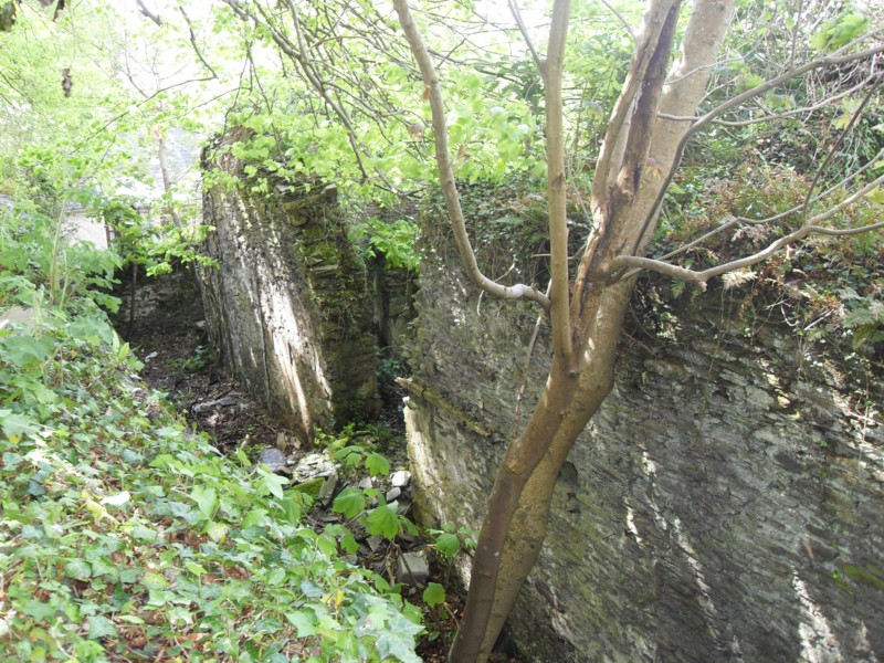 JERICO ROW