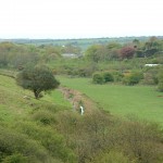 HELSTON KENNEL LEAT