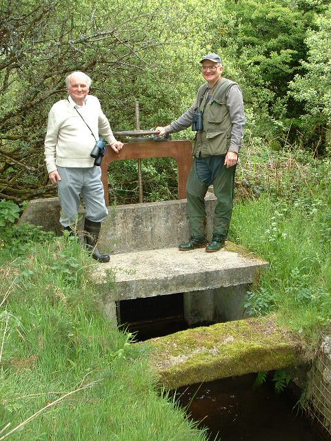 HELSTON KENNEL LEAT