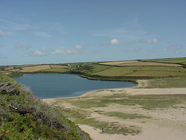 LOE BAR