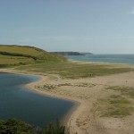 LOE BAR