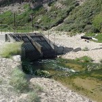 ENTRANCE TO THE MINE ADIT