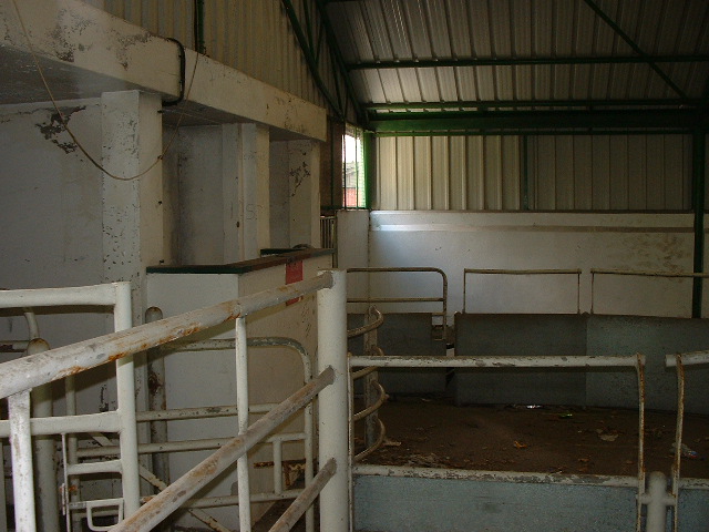 HELSTON NEW CATTLE MARKET