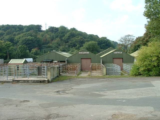 HELSTON NEW CATTLE MARKET