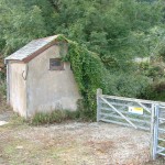 HELSTON NEW CATTLE MARKET