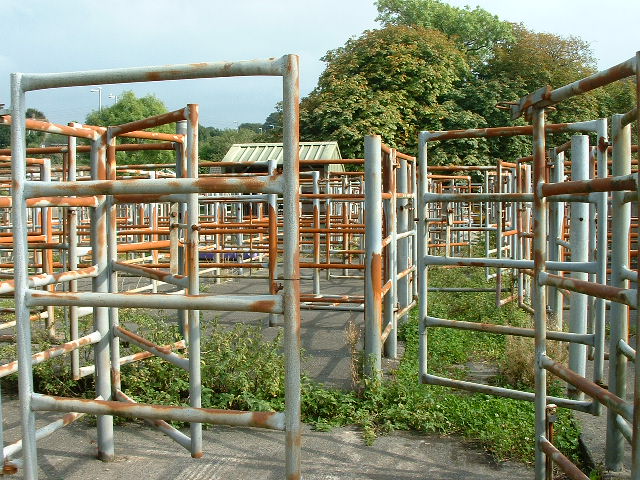 HELSTON NEW CATTLE MARKET