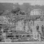 HELSTON OLD CATTLE MARKET