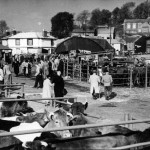 HELSTON OLD CATTLE MARKET