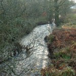 RIVER COBER