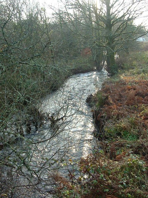 RIVER COBER