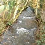 RIVER COBER