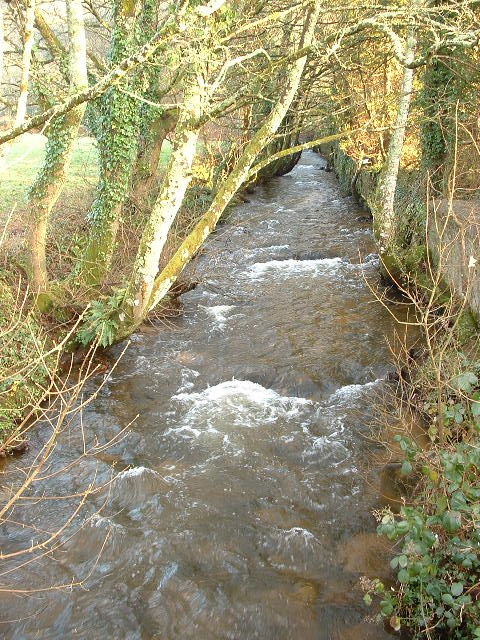 RIVER COBER