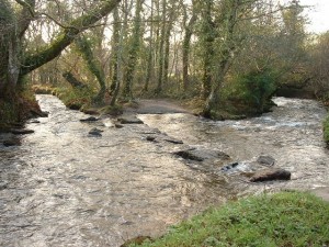 RIVER COBER