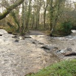 STEPPING STONES OVER THE RIVER COBER AT LOWER TOWN