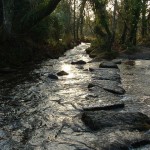 STEPPING STONES OVER THE RIVER COBER AT LOWER TOWN