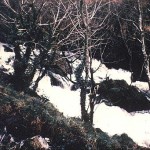 RIVER COBER FALLS AT COVERACK BRIDGES