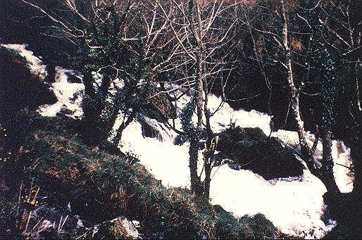 RIVER COBER FALLS AT COVERACK BRIDGES