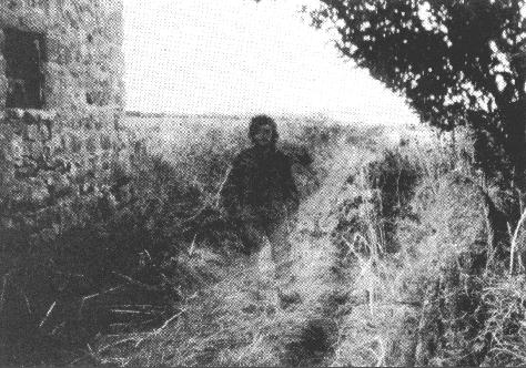 STRANGE INCIDENT FIGURE